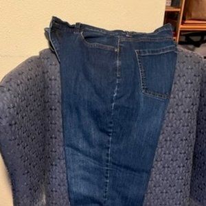 Gloria Vanderbilt Amanda 2.0 Jeans